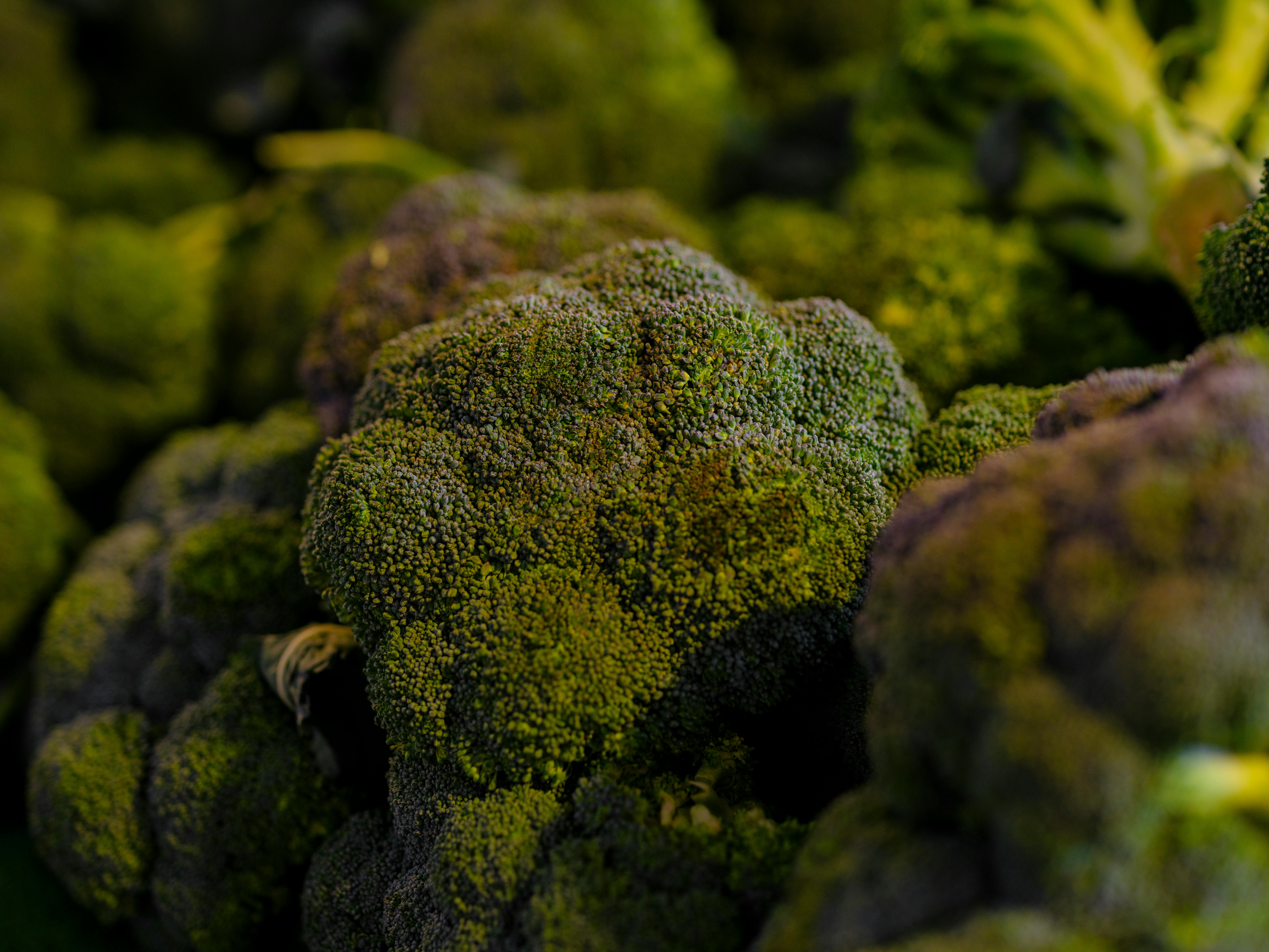 Dietitian Loves This Frozen Veggie to Add a Quick Protein Boost to Meals — Photo by Engin Akyurt on Pexels