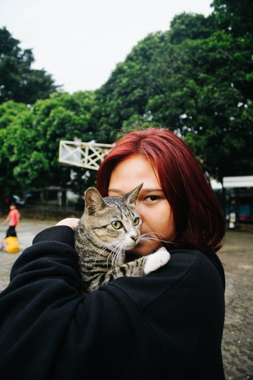 Foto d'estoc gratuïta de abraçant, animal, cabell tenyit