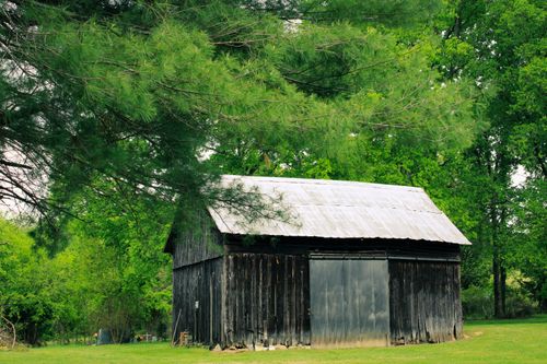 Free A rustic wooden barn surrounded by lush greenery, under a canopy of vibrant trees. Stock Photo