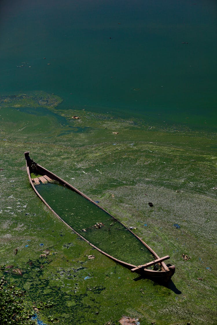 A Construction Of A Boat