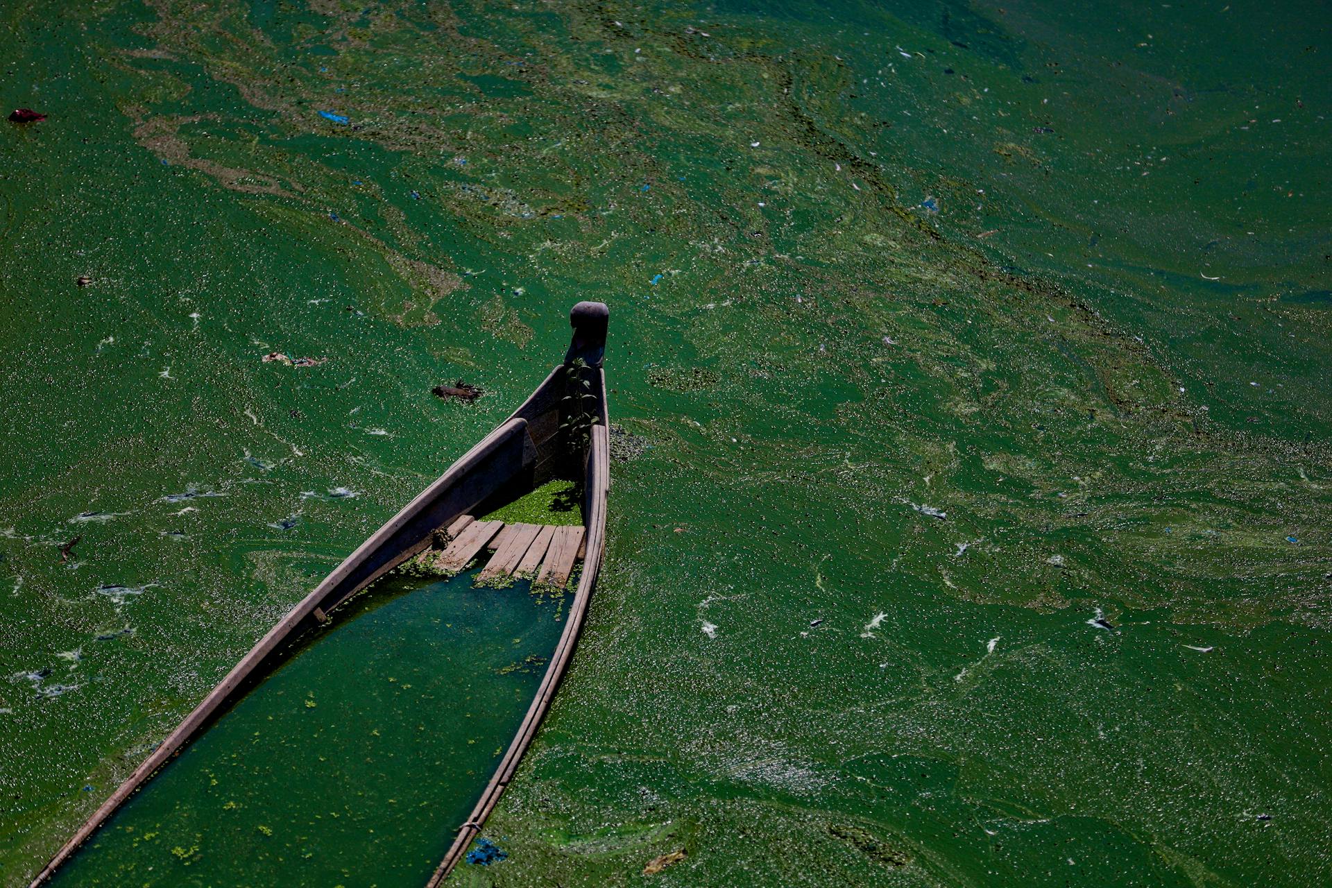 Aerial view of an abandoned boat on a lake covered with green algae in Mandalay, Myanmar.