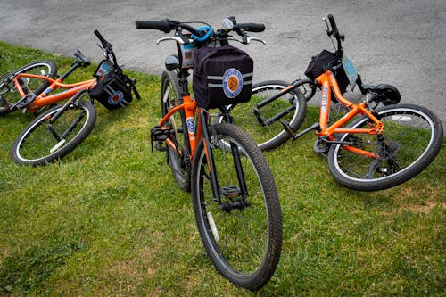 Imagine de stoc gratuită din biciclete, gazon, grabă