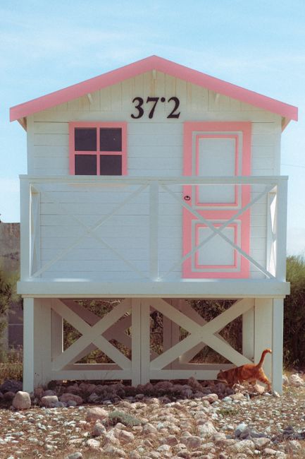 White beach hut with pink trim and a cat under a clear summer sky.
