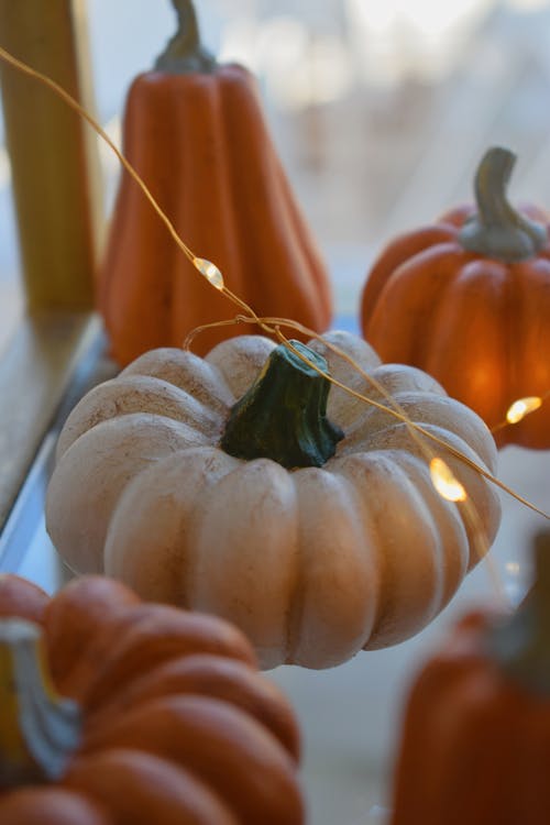 Orange Pumpkins Decorated with LED Lamp String