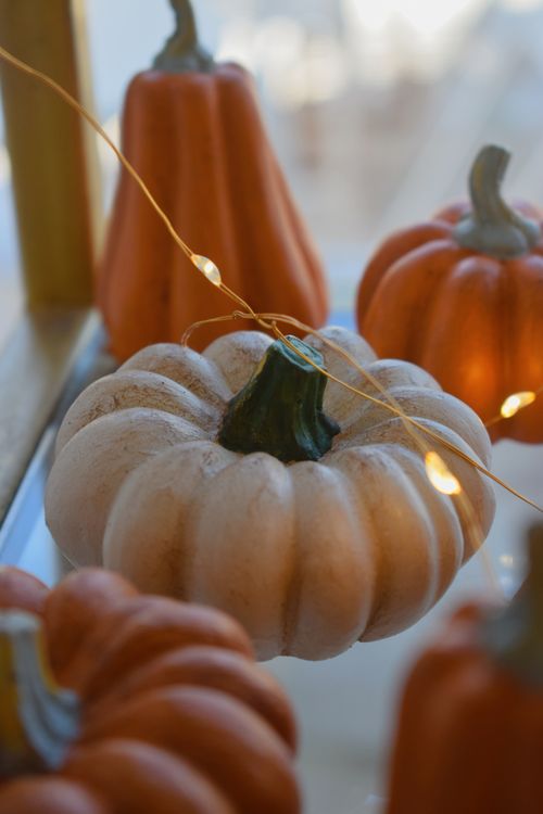 Free Charming display of assorted pumpkins and LED fairy lights capturing the essence of fall. Stock Photo