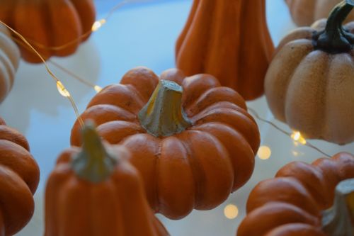 Free Decorative pumpkins adorned with string lights perfect for autumn and Halloween settings. Stock Photo