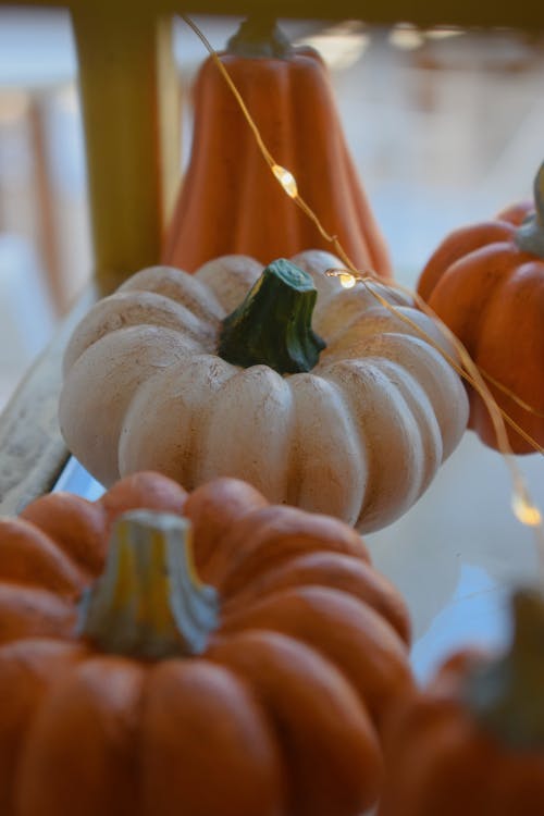 Fairy Lights and Pumpkins