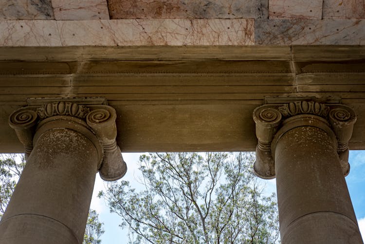 Neoclassical Ionic Columns