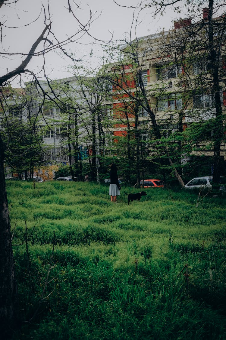 Woman Walking Her Dog