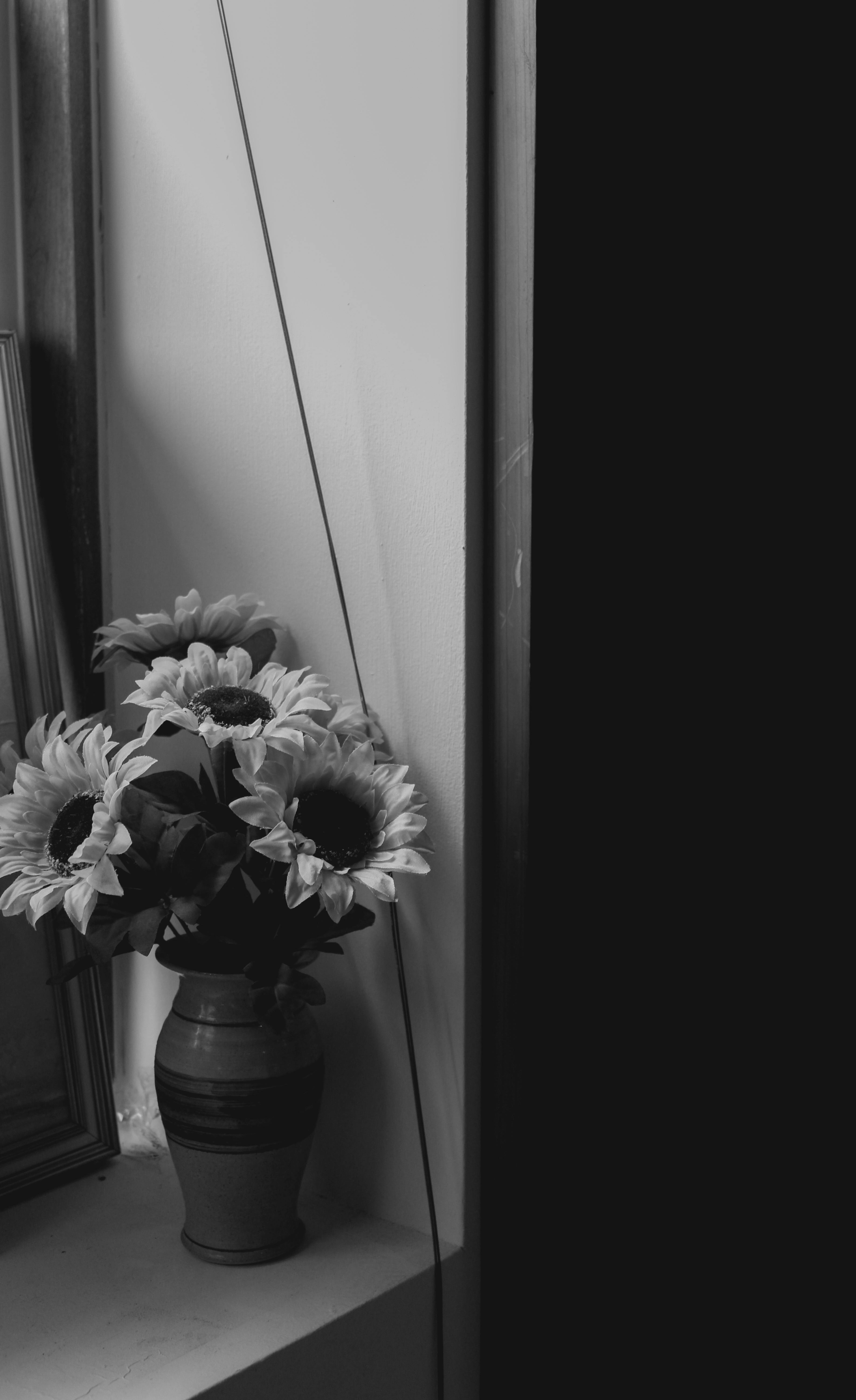 Ingyenes stockfotó # beltér, ablakpárkány, árnyékok témában Stockfotó