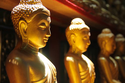 Kostenloses Stock Foto zu buddhismus, geistigkeit, goldene figuren