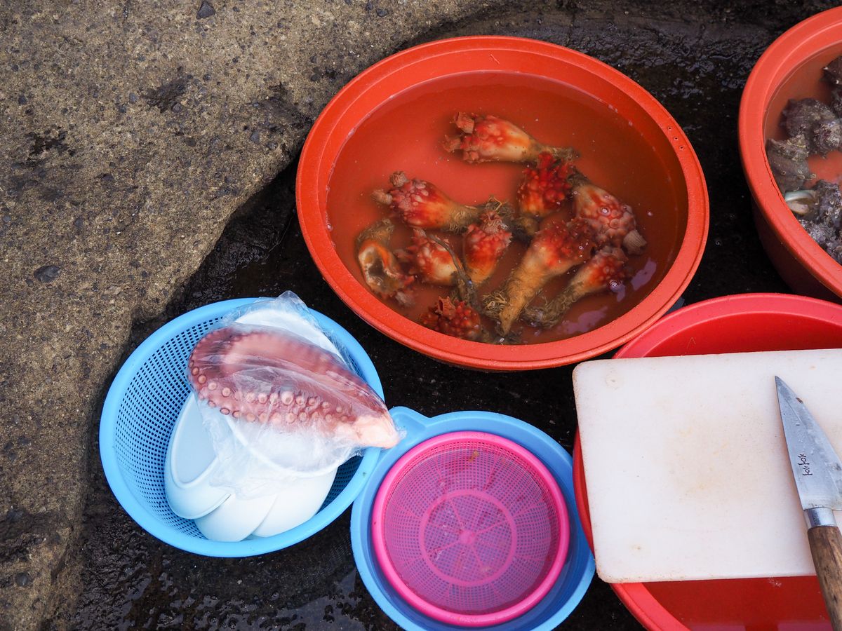 Squid Selection