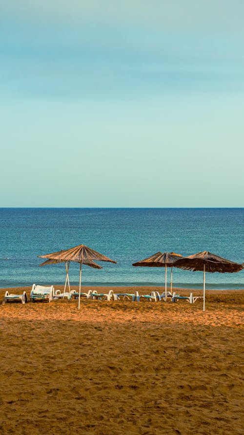 Deckchairs and Umbrellas on Beach