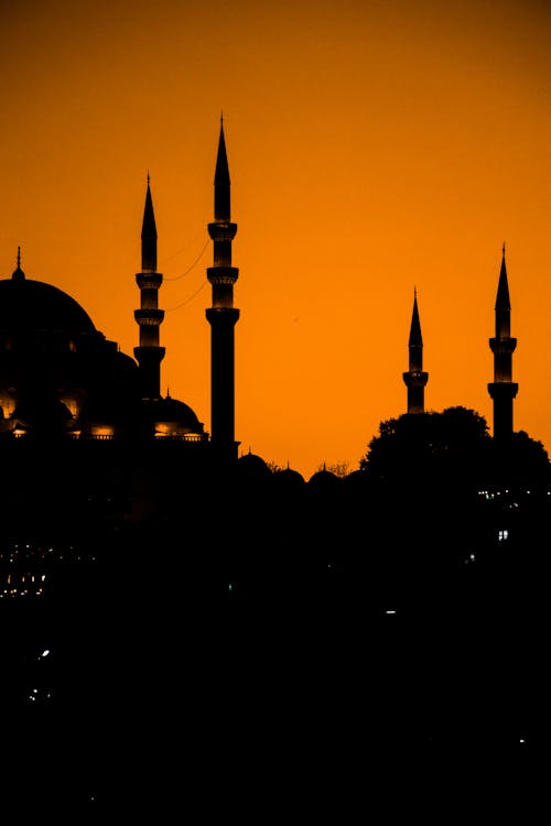 伊斯坦堡, 伊斯蘭教, 剪影 的 免費圖庫相片