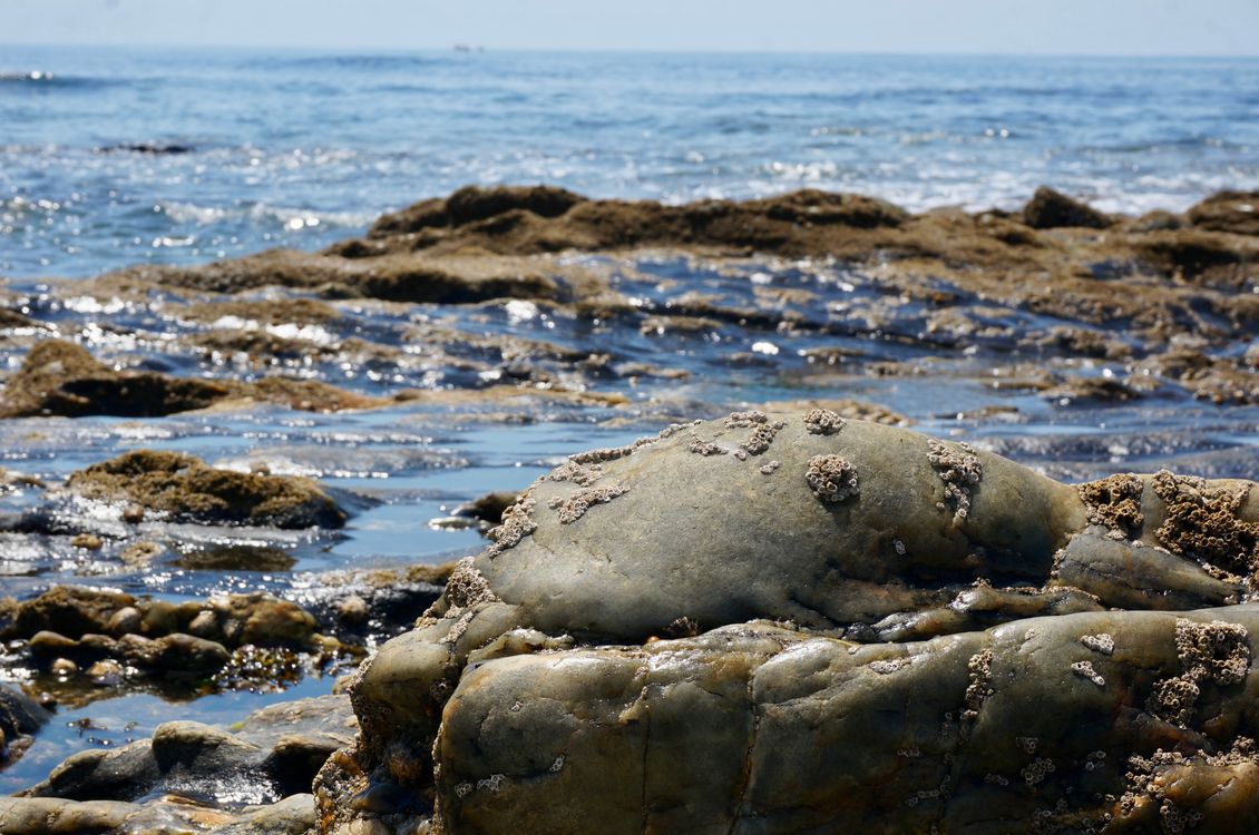 Oceanfront Rocks Rocks on Ocean Shore · Free Stock Photo