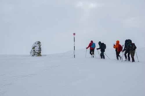 People Hiking in Snow