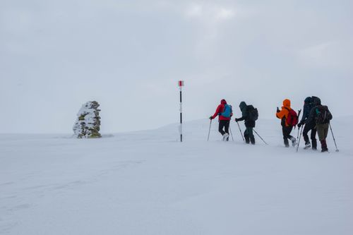 Free Five hikers trek through snow in Timișoara's winter landscape, embodying adventurous spirit and resilience. Stock Photo