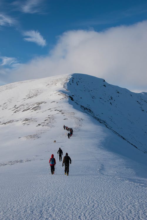 Back View of People Hiking in Snowy Mountains 