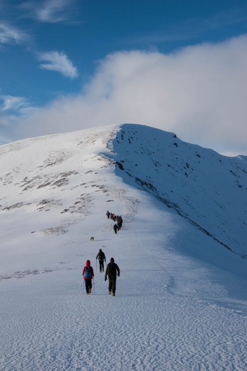 Free Group of hikers ascending a snowy mountain under a clear blue sky in North Macedonia. Stock Photo