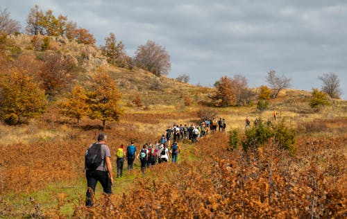 A Group of People Hiking in Hills in Autumn 