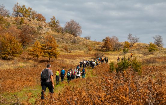 A group of people enjoy hiking through an autumn landscape near Belgrade, Serbia.
