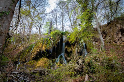 Watefall deep in the forests of eastern Serbia