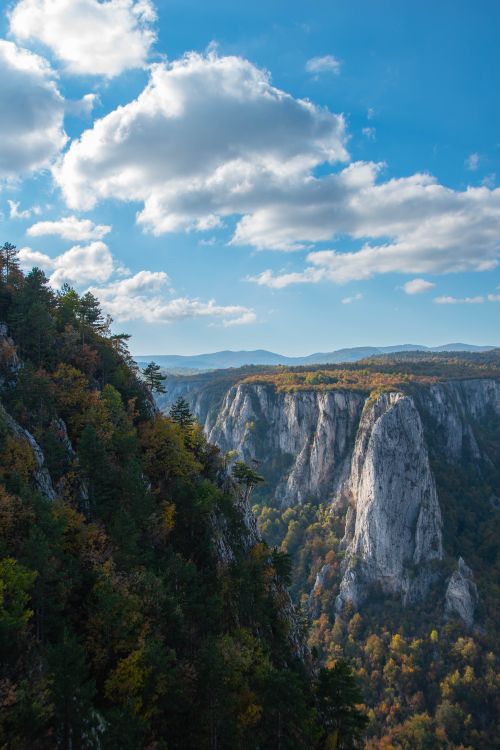 Free Beautiful autumn view of cliffs and forests under a cloudy sky in Belgrade, Serbia. Stock Photo