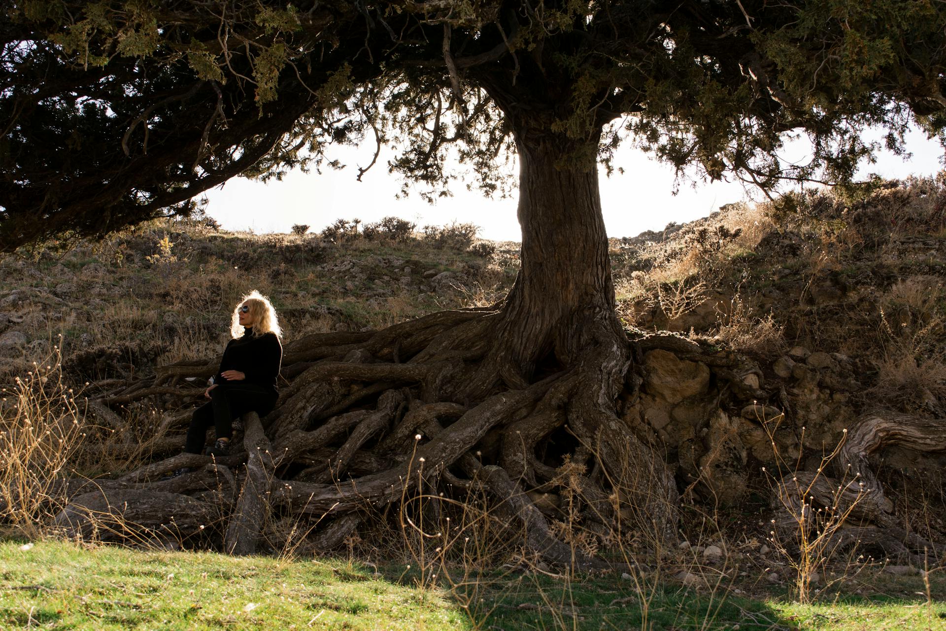 A woman sitting under a large tree with exposed roots in Konya, Türkiye capturing serenity and nature.