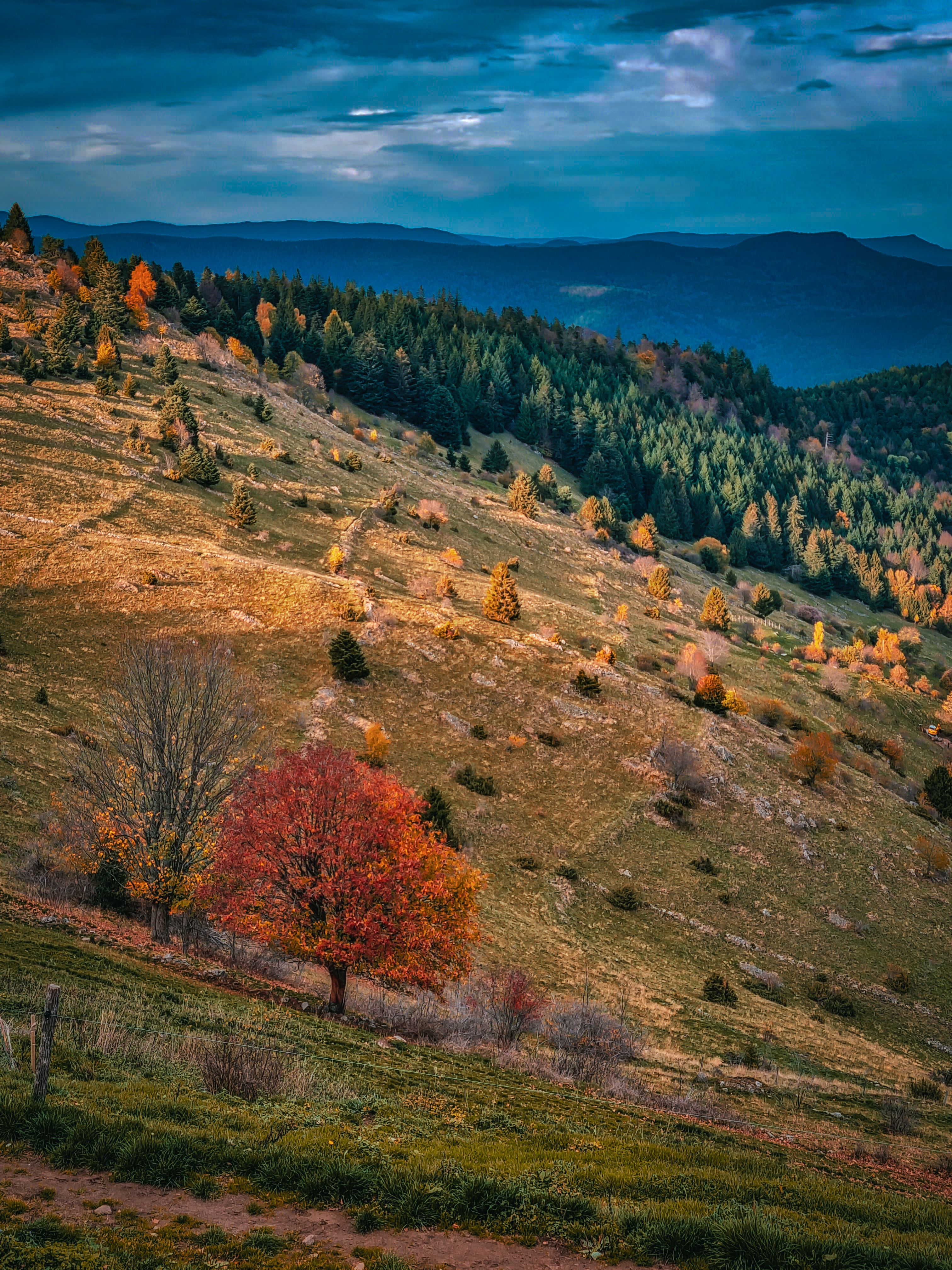 Fotomural Vista escénica de otoño de colinas ondulantes y árboles coloridos en Wasserbourg, Francia.