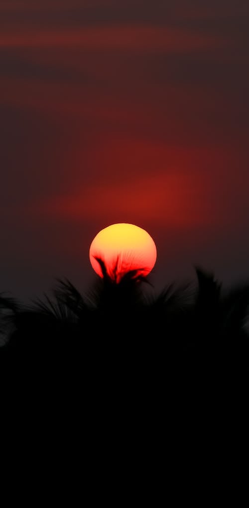 Free stock photo of red sun, sky, sun