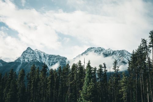 Free A breathtaking view of snow-covered mountains and evergreen forest in Canmore, Alberta, Canada. Stock Photo