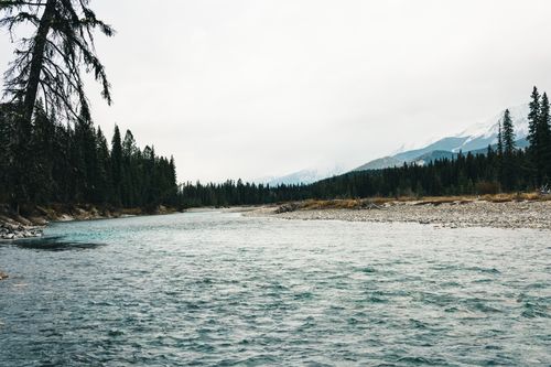 Free Peaceful river scene in Kootenay Bay, British Columbia with evergreen forest and mountains. Stock Photo