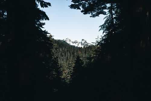 Free Lush forest with towering mountains under a clear sky in Vancouver, BC. Stock Photo