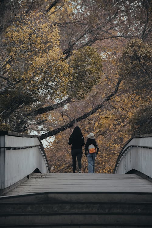 Základová fotografie zdarma na téma chůze, lidé, most