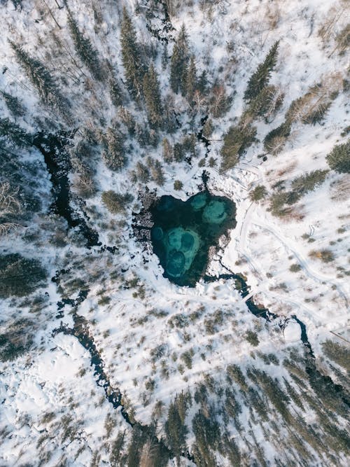 Lake in Forest in Winter