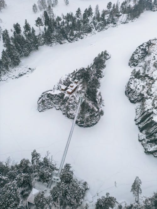 Island on Lake in Winter