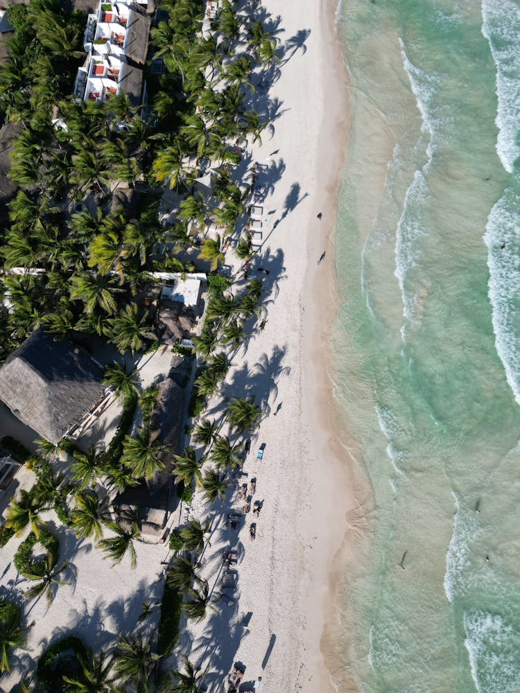 Exotic Beach Along Sea