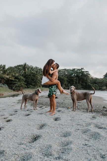 Couple kissing on a Costa Rican beach with their dogs, amid a lush tropical backdrop.