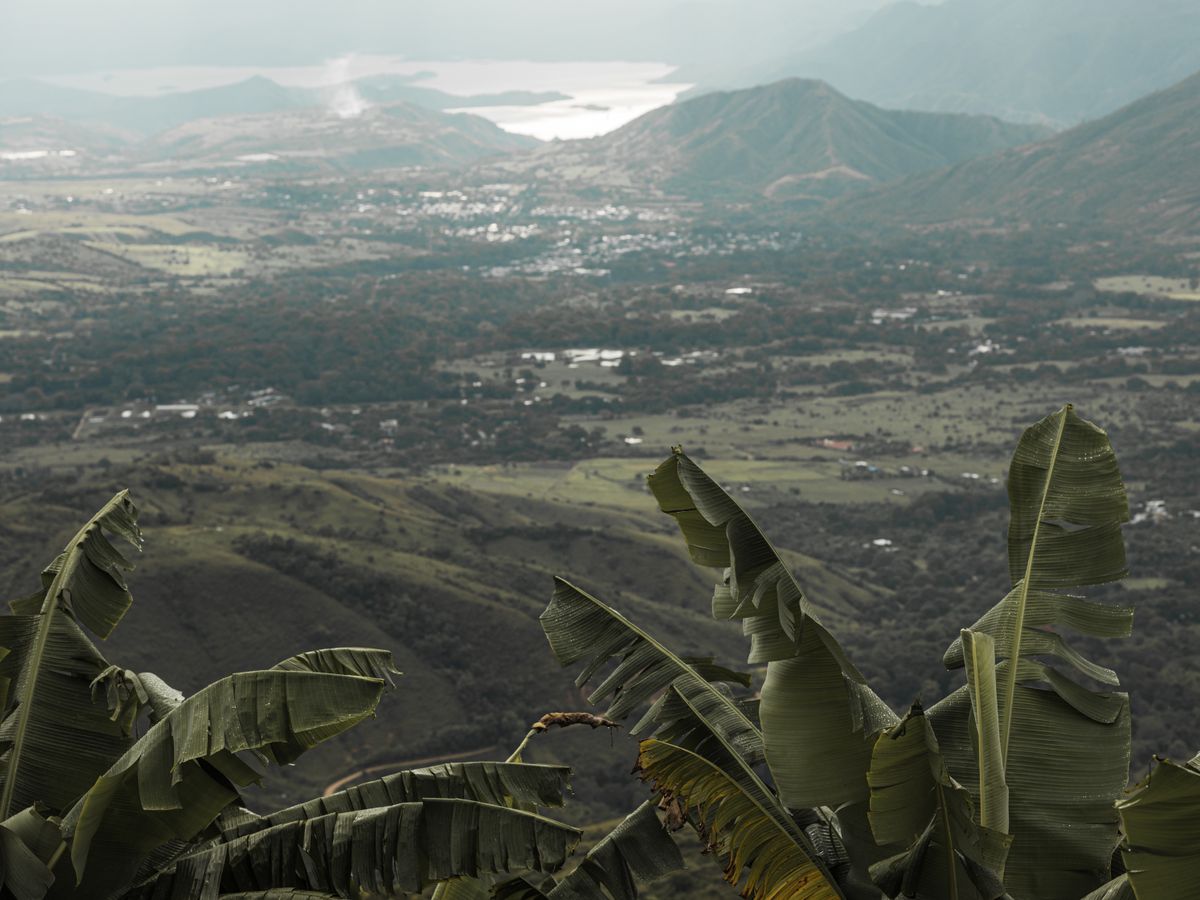 7 Day Silent Buddhist Meditation & Yoga Retreat in Colombia 3