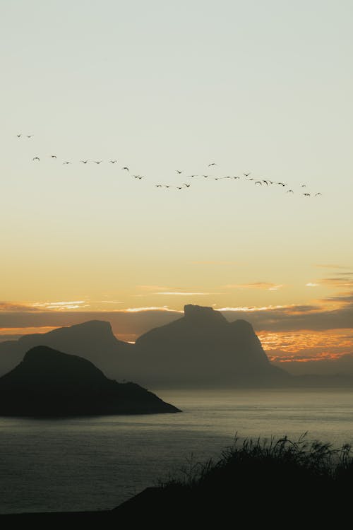 Silhouetted Rock Formations and a Flock of Bird Flying over a Sea at Sunset