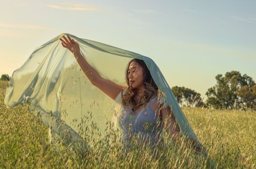 A young woman in an elegant dress poses with sheer fabric in a sunlit field.