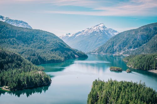 Forest on Hills around Lake