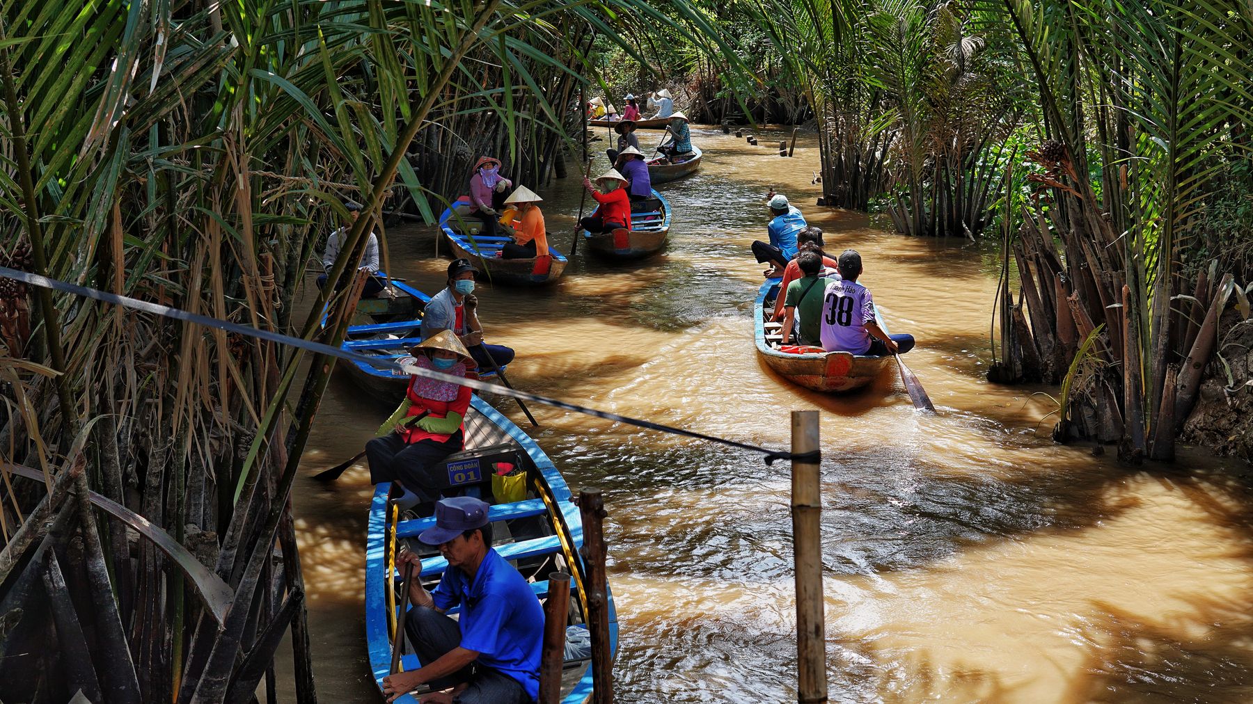Tourists paddle through a lush tropical river, surrounded by vibrant palm fronds.