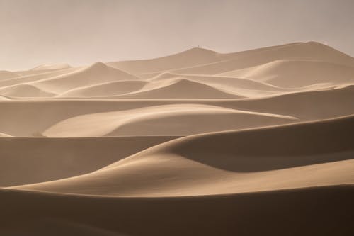 The dunes are covered in sand and are very large