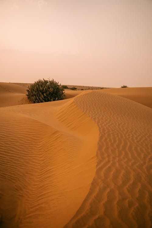 Základová fotografie zdarma na téma duny, krajina, písek