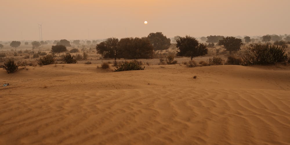 Thar Desert - All You need to know Before You go