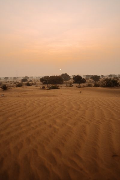 Desert