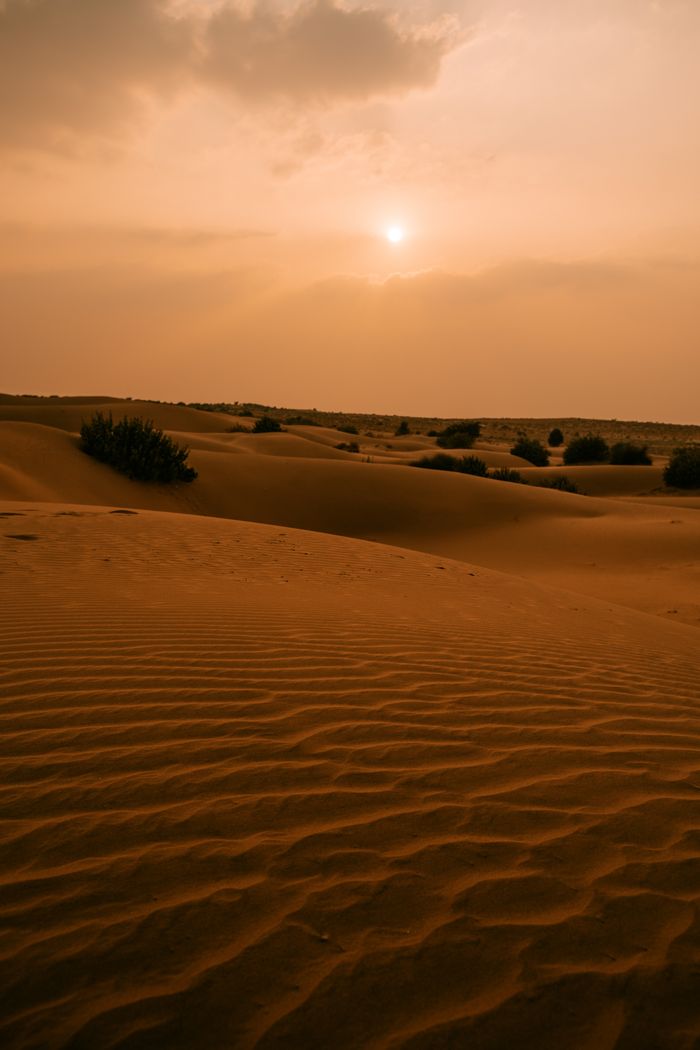 Rippled sand patterns catching the low light at dawn in the Thar Desert
