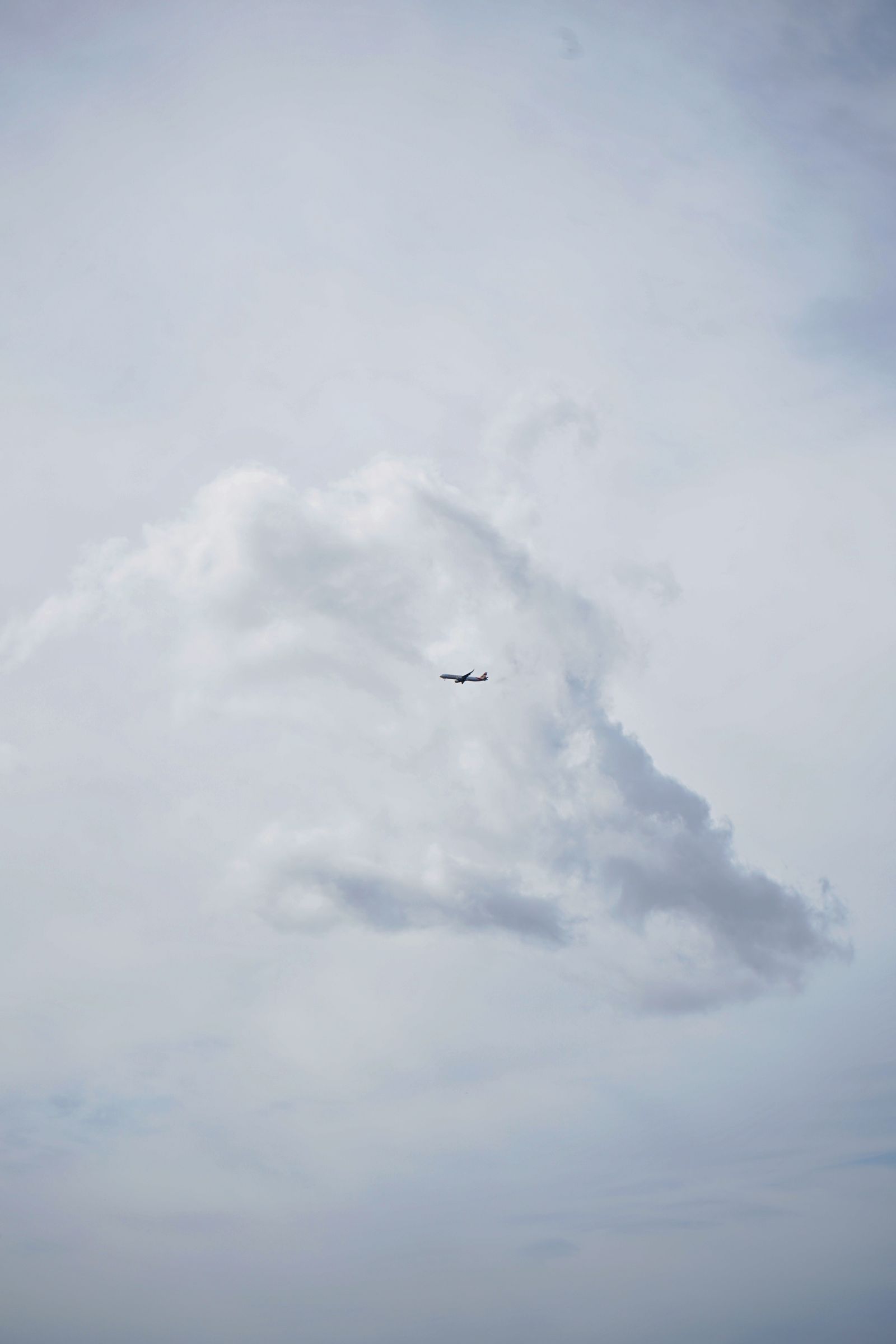 White Cloud over Flying Airplane · Free Stock Photo