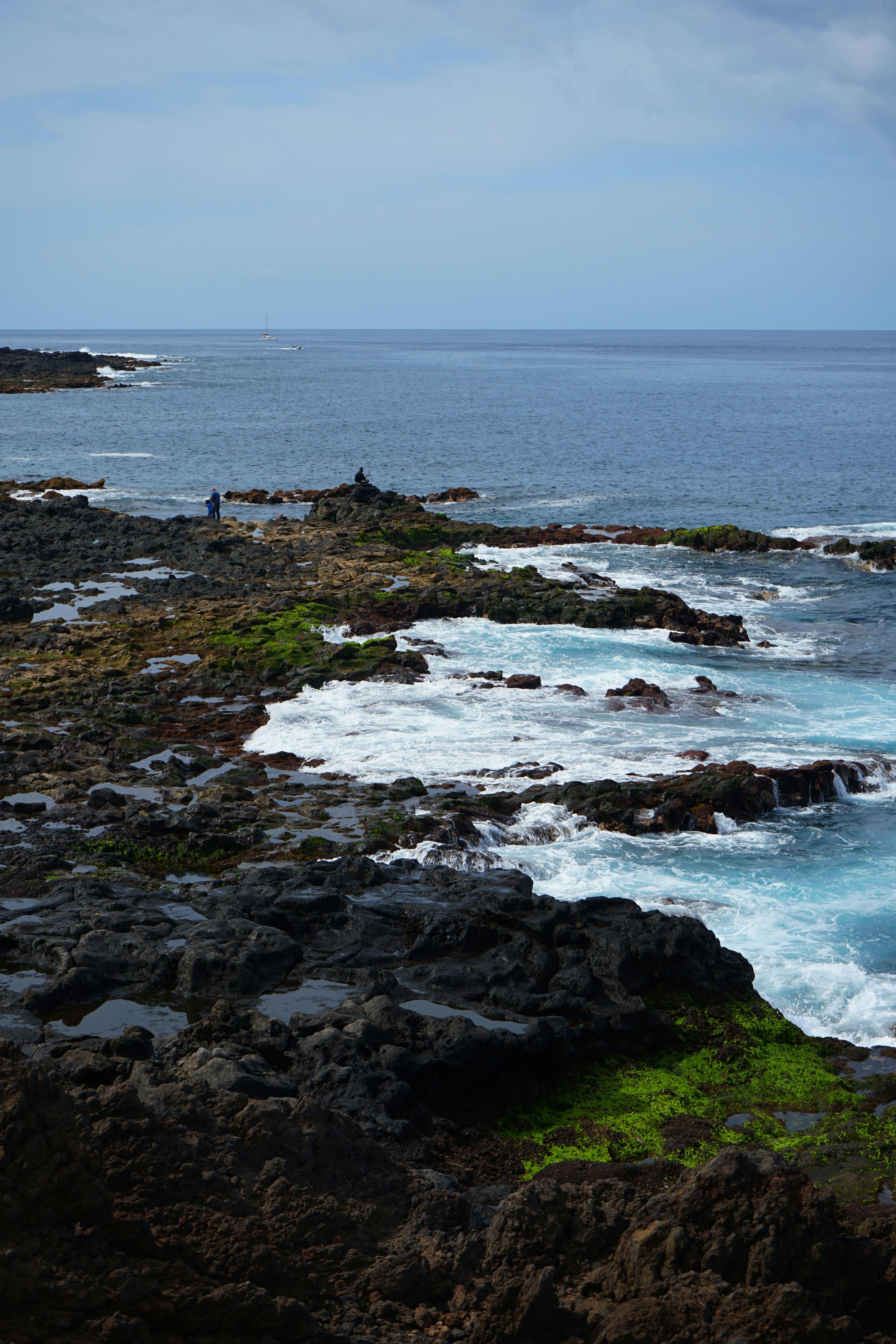 Rocks on Sea Shore · Free Stock Photo